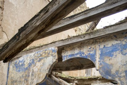 vegetació. La natura ha envaït les estances nobles.