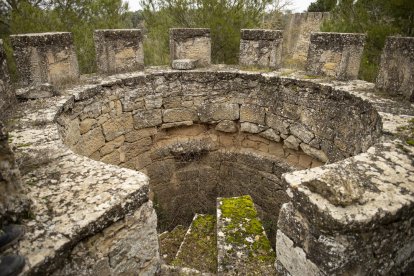 vegetació. La natura ha envaït les estances nobles.