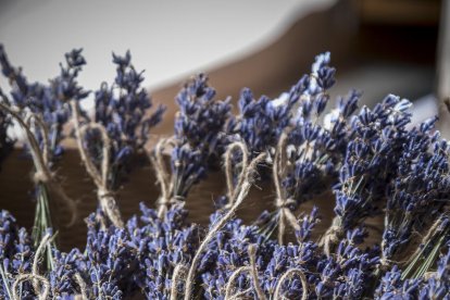 a mil metres d’alçada. Araós, a la Vall Farrera, és l’escenari del projecte de vida de la Gemma i el Pedro.