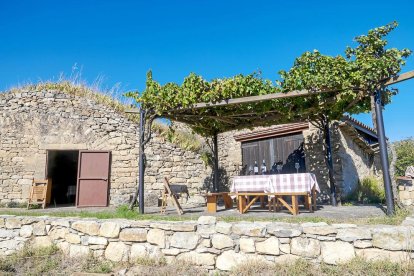 l’olivera. Han reconvertit un espai agrari en un lloc idíl·lic per tastar nous vins.