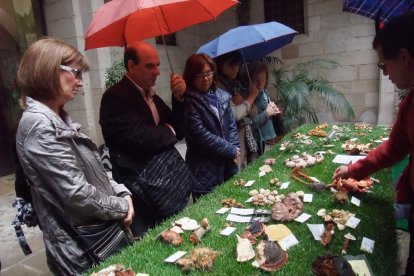 món i natura. Alumnes de l’assignatura de Jardineria i Paisatgisme durant una classe pràctica.
