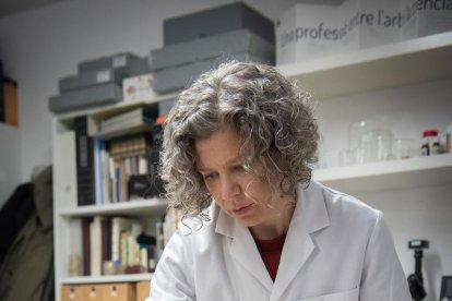 Tècniques japoneses. La influència nipona en la restauració és important. A la foto, laminant amb paper japonès uns documents manuscrits debilitats per infecció per microorganismes