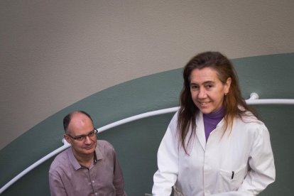 Capell i Christou: “Hi ha panís que no el modifiquem per menjar sinó per fabricar medicaments“