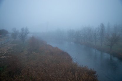 Retratos de la niebla en Lleida