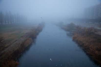 Retratos de la niebla en Lleida