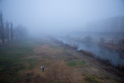 Retratos de la niebla en Lleida