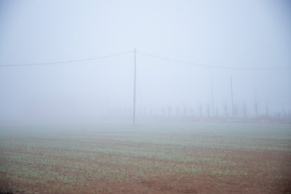 Retratos de la niebla en Lleida