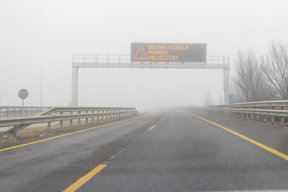 Retratos de la niebla en Lleida
