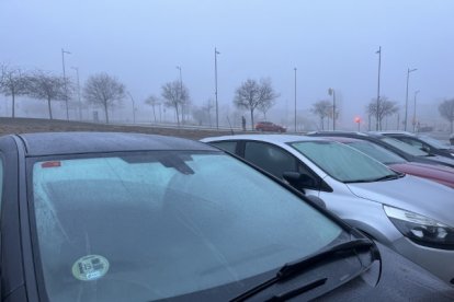 Retratos de la niebla en Lleida