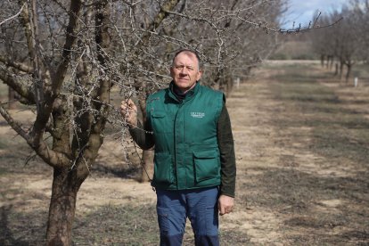 Vista des de Tiurana del pantà de Rialb, al Segre, que acumula més aigua que fa un any.