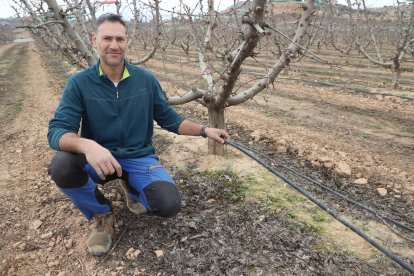 Vista des de Tiurana del pantà de Rialb, al Segre, que acumula més aigua que fa un any.