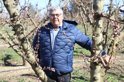 Vista des de Tiurana del pantà de Rialb, al Segre, que acumula més aigua que fa un any.