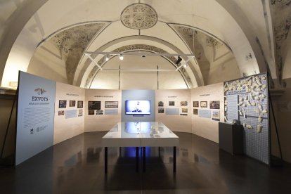 L'exposició del Museu de Lleida.