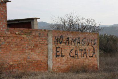 La denominació de la llengua a la Franja és motiu de disputa política però no acadèmica. - ACN