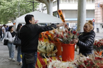 Sant Jordi Lleida 2024