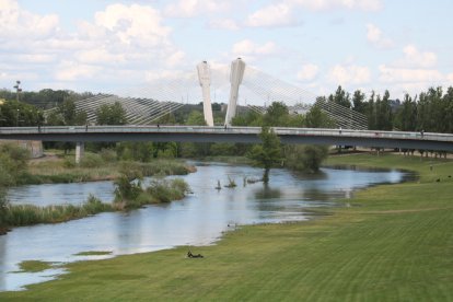 Aspecto del río Segre a su paso por la canalización de Lleida