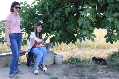 Linyola compta des de fa un parell d'anys amb l'associació Vadal.