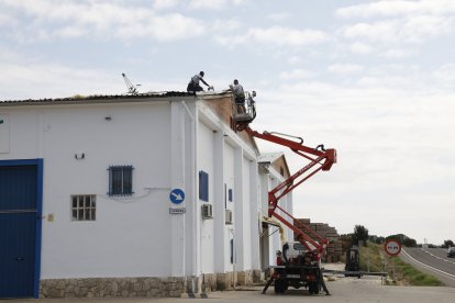 Operaris, ahir sanejant la teulada d’una nau a Alcarràs.