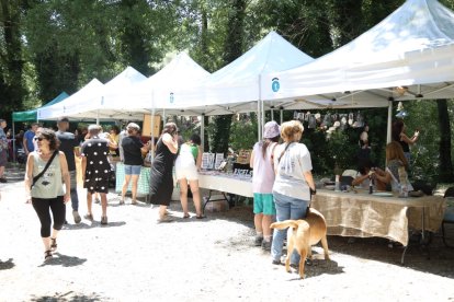 Diada dels Raiers de la Pobla de Segur 2024