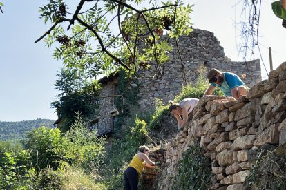 Voluntarios del campo de trabajo para recuperar el pueblo de Envall haciendo pared de piedra seca