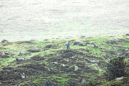 Un farceller emprèn la pujada de la muntanya cap a França a ple dia. - JORDI ECHEVARRIA