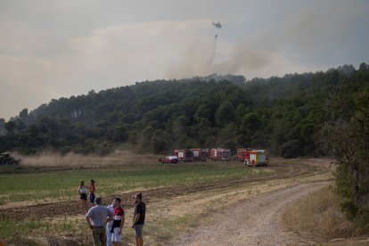 Vecinos, agricultores labrando, bomberos y un helicóptero, ayer tarde en la zona del fuego. - GERARD HOYAS