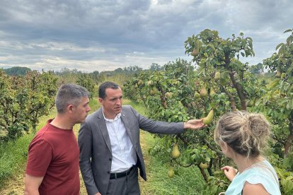 El conseller Ordeig, aquest matí en una finca d'Albatàrrec.