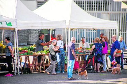 Al mercadillo hi ha parades de fruites i verdures de proximitat. - GERARD HOYAS
