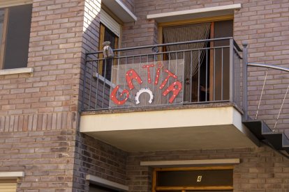 Festa Major de Maials 2024