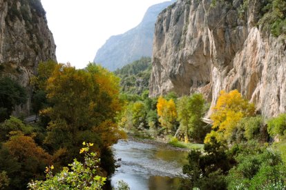 Pas dels Pontarrons. Situat a la part més meridional de la comarca, aquest conjunt de ponts per salvar un estret penya-segat va ser construït pel bisbe Sant Ermengol. 