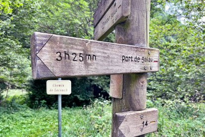 Territori amb caràcter. Els boscos de l’Arieja són hàbitat d’ossos, cabirols, trencalossos i marmotes, entre d’altres