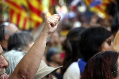 Un puño alzado durante la manifestación de la ANC de la Diada en Lleida