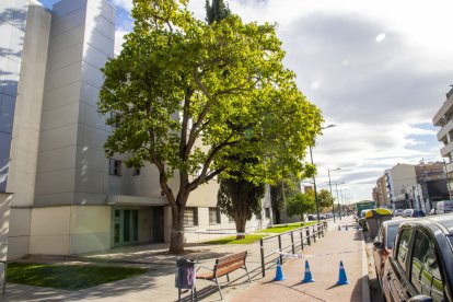 Zona acordonada a l’avinguda Tortosa, a Pardinyes.. - GERARD HOYAS
