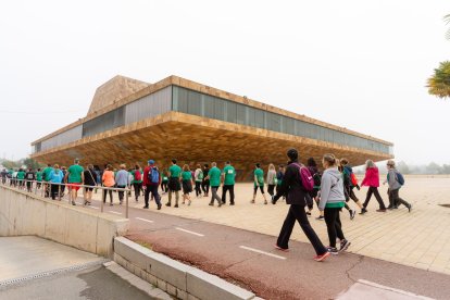 12a Marxa contra el Càncer a Lleida