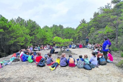 Imagen de la excursión del pasado viernes y de los ocho proyectiles de mortero hallados. - ESCOLA EL VINYET