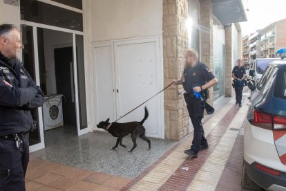 La Unitat Canina va participar en l’operatiu. - LAIA PEDRÓS