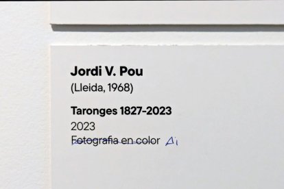 La guixada sobre l’etiqueta que acompanya la imatge