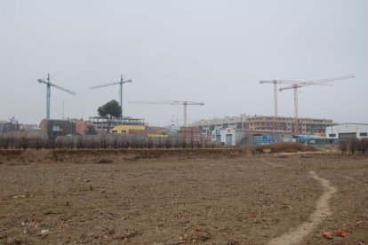 grues i edificis en construcció als afores d’Alcarràs, desembre del 2007.. - FRANCESC SERÉS