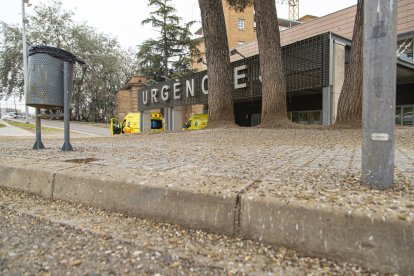 L'entorn d'Urgències de l'Arnau, ple d'excrements per la plaga d'aus.