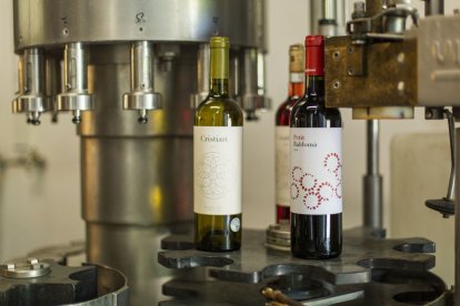 Zona NOGUERA - BLUECOLLECTORS