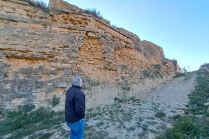 Joan Ramon González observa la cara nord de les muralles de la Seu Vella, la “zona dels horrors”. - SCD