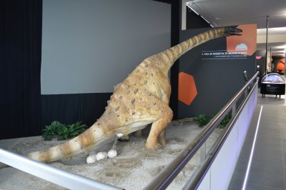 La reproducció d’un Titanosaure de 7 metres.