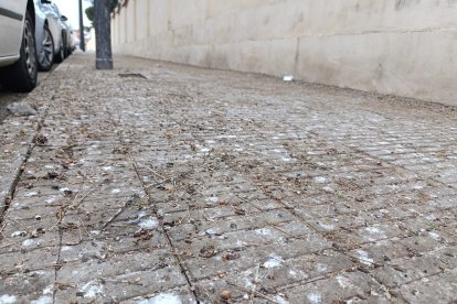 Imatge de la vorera del carrer Sant Hilari, vora l’hospital Santa Maria, plens de deposicions -S.ESPÍN