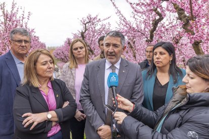 Un momento de la atención del conseller Sàmper a los medios de comunicación.