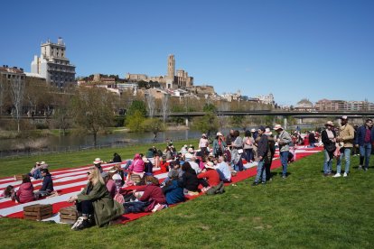 Imatges del Pícnic a la canalització del Segre a Lleida