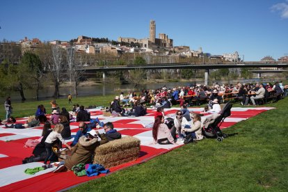 Imatges del Pícnic a la canalització del Segre a Lleida