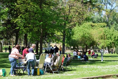 Al bon temps, bona Mona - AMADO FORROLLA