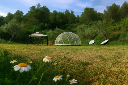 L’estructura ofereix vista panoràmica. - OLI COMETES