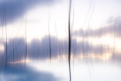 Efectes òptics. L’artista ha utilitzat tècniques i recursos per a crear efectes i sensacions úniques perquè el públic capti l’essència de cada imatge.