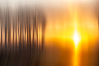 En moviment. El repte de l’artista era representar processos com per exemple el creixement d’un arbre en una imatge que no es mou, però sembla que ho faci.